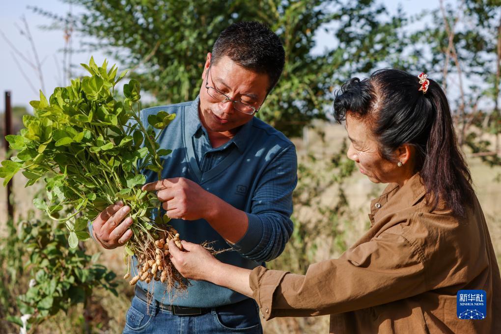 捕鱼游戏免费不用下载