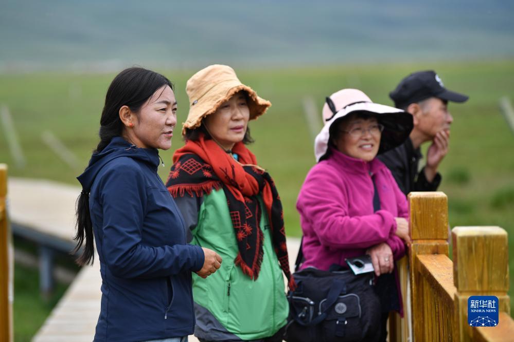 大圣闹海游戏平台