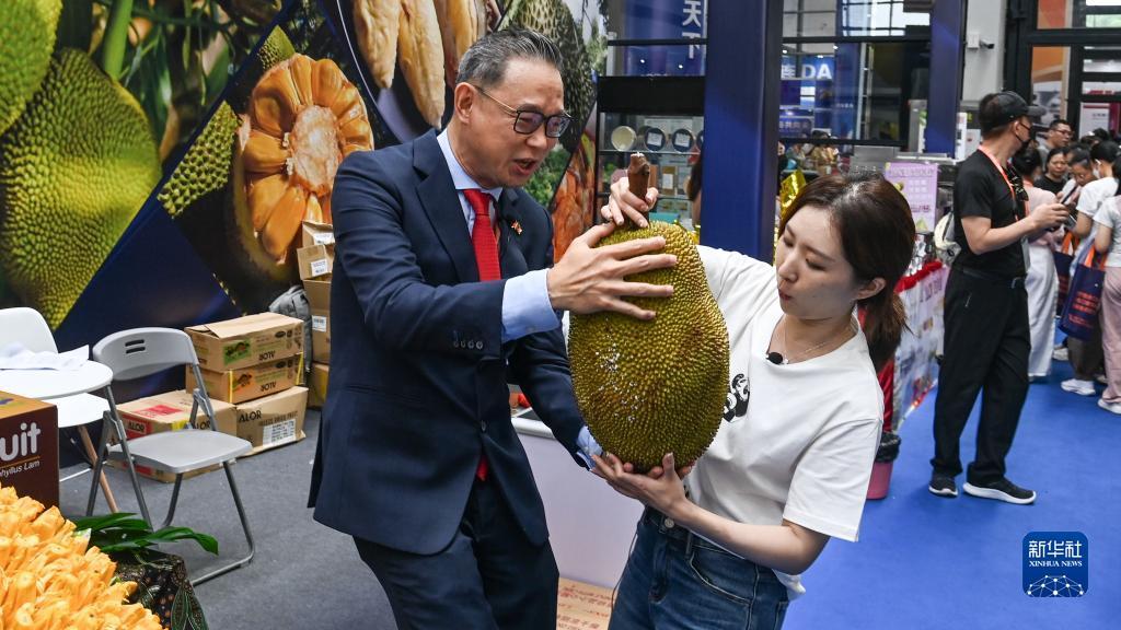 威利斯人官方网站