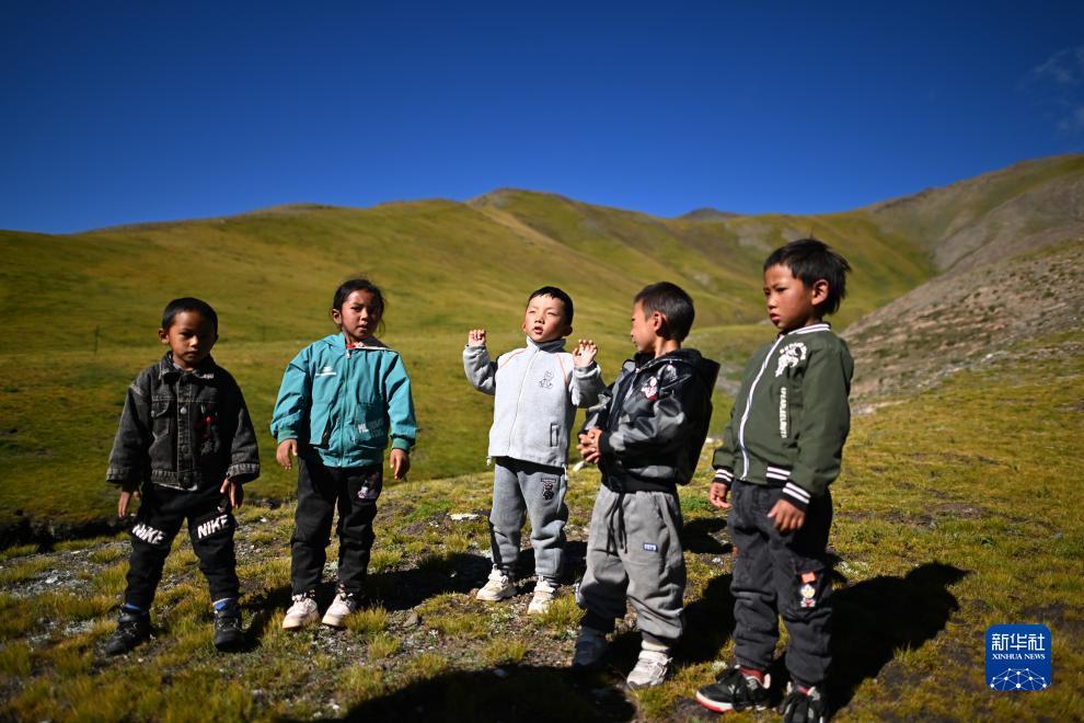 诈金花游戏下载